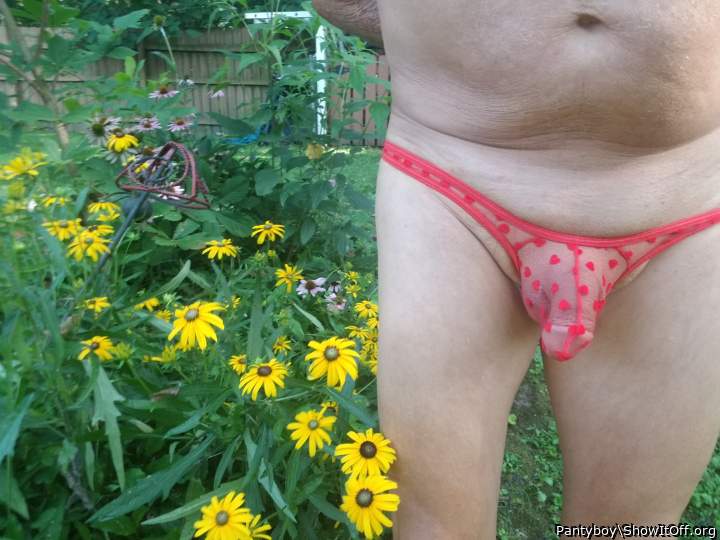 Adult image from Pantyboy