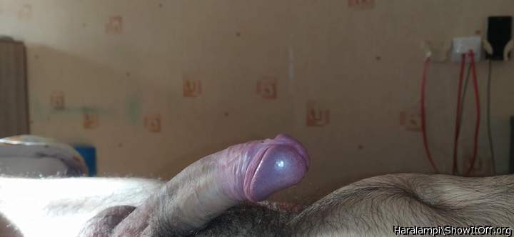 Adult image from Haralampi