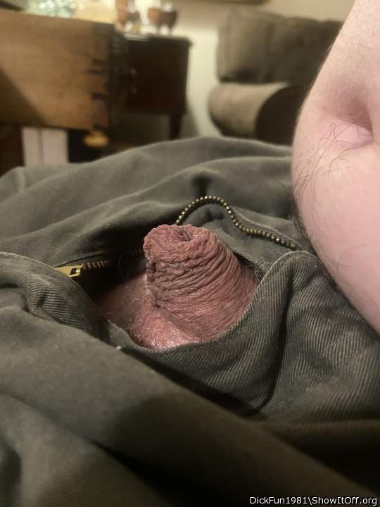 Adult image from DickFun1981