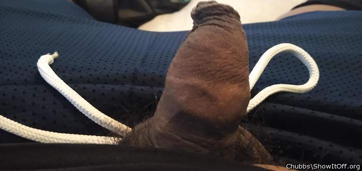 Adult image from Chubbs