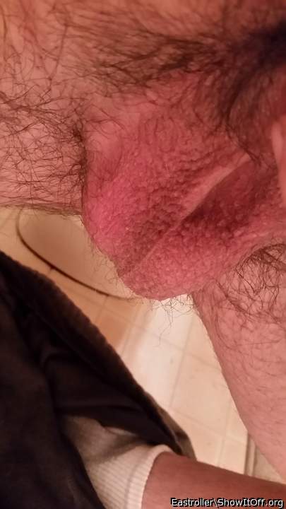 Adult image from *Humpy_Rugmuncher