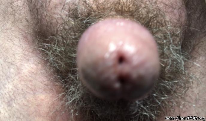 Adult image from Arinn
