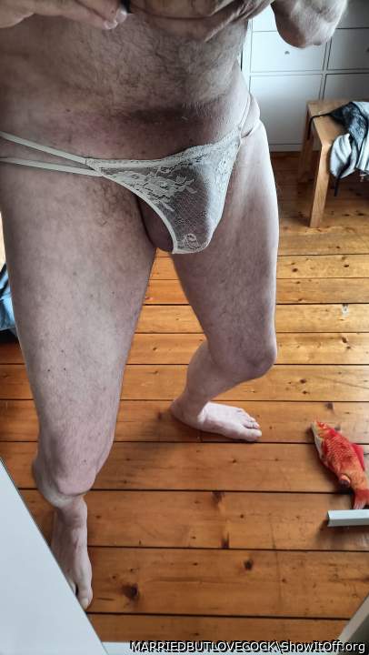 Adult image from MARRIEDBUTLOVECOCK