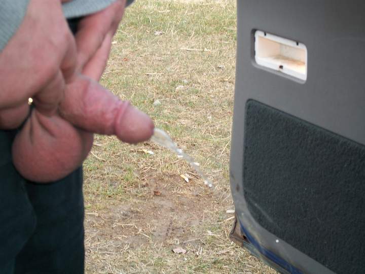 Adult image from avgcock