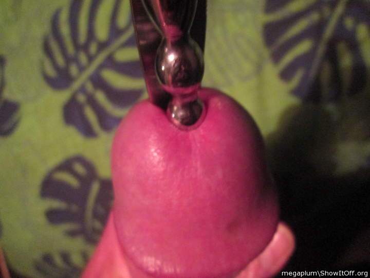 Adult image from megaplum