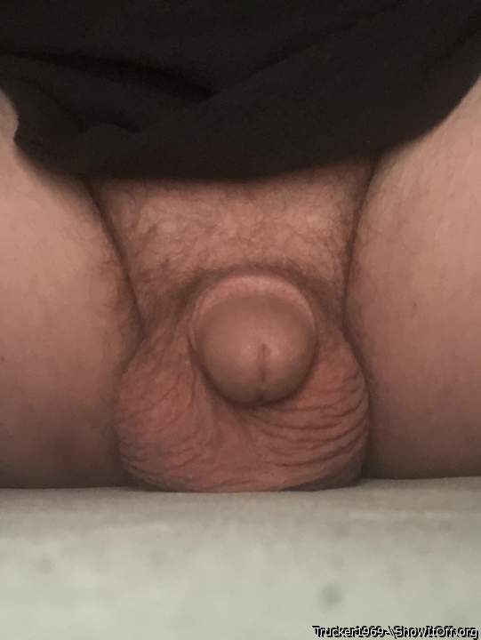 Adult image from Trucker1969-