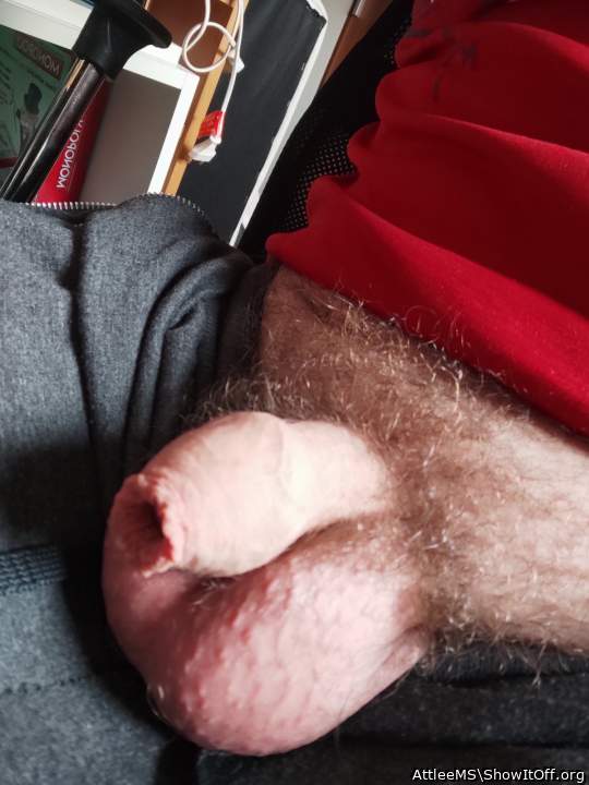 Adult image from AttleeMS