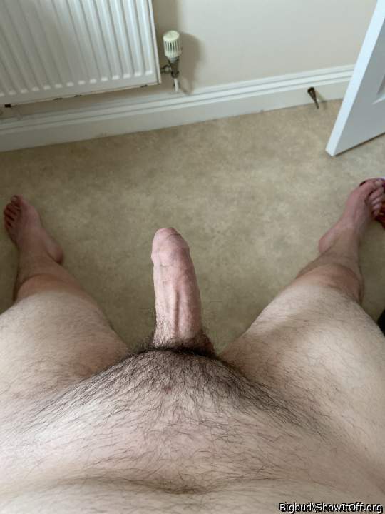 Adult image from Bigbud
