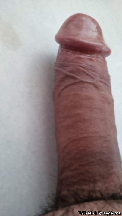 Adult image from TNT-48-8