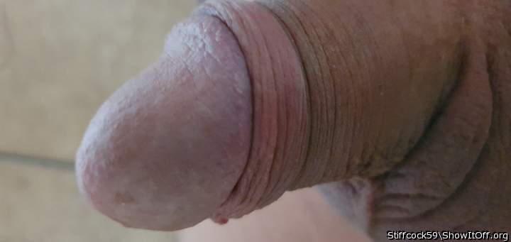 Adult image from Stiffcock59