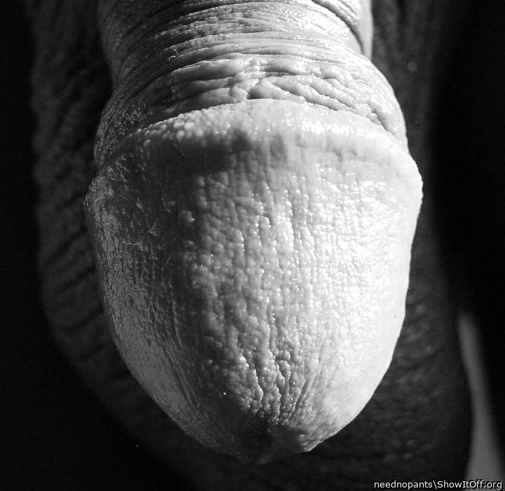 Adult image from neednopants