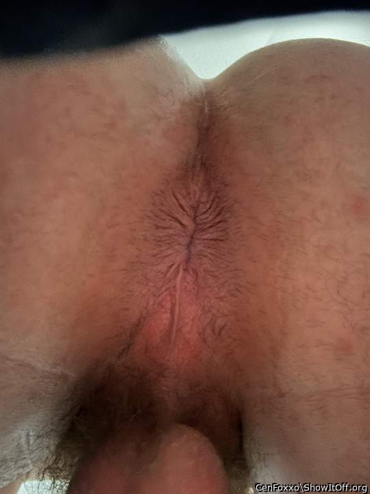 Adult image from CenFoxxo