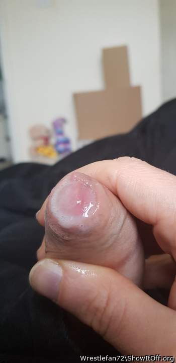 Adult image from Wrestlefan72