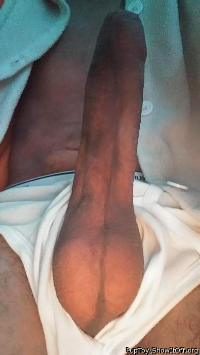 Adult image from PupToy