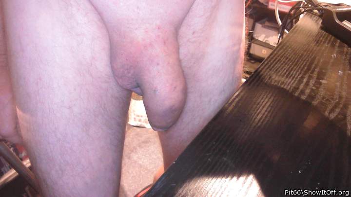 Adult image from Pit66