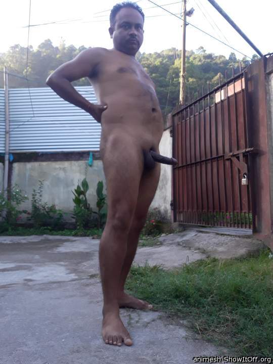 Adult image from Animesh