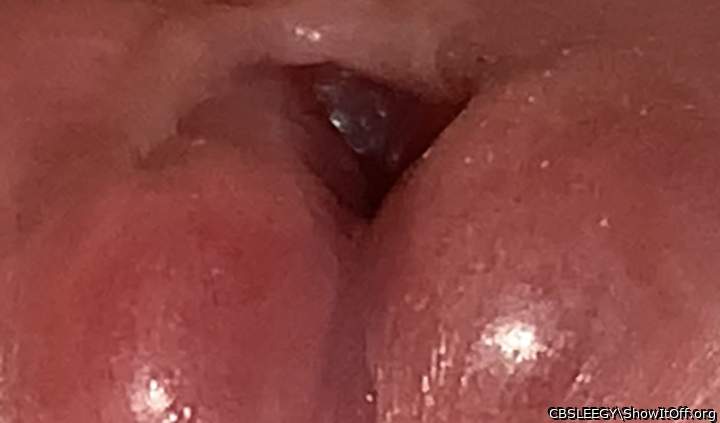 Close up of my cumhole and cock lips�