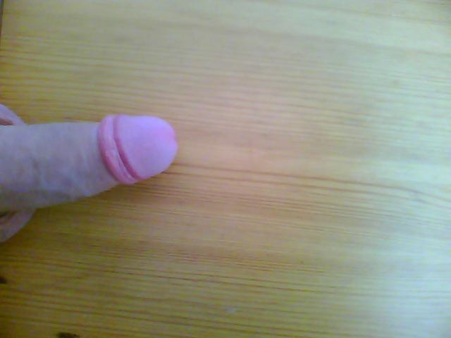 Adult image from THESEX