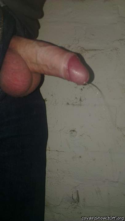 Adult image from covas