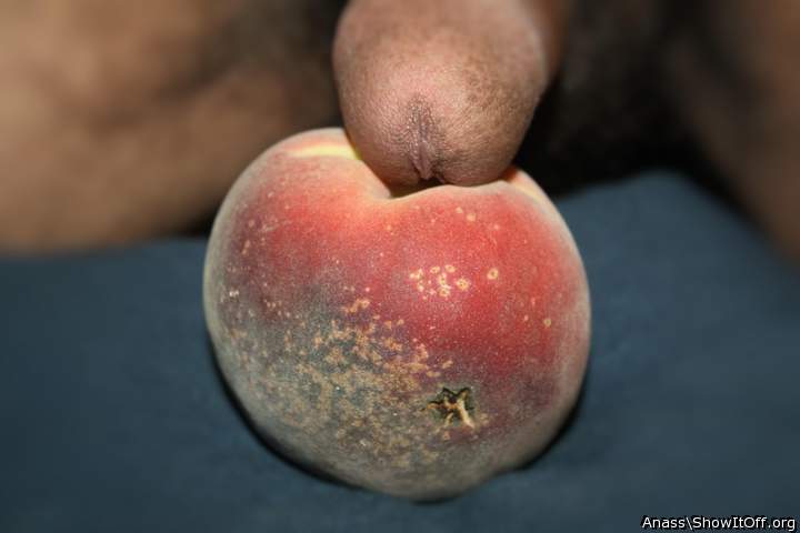 Adult image from Anass