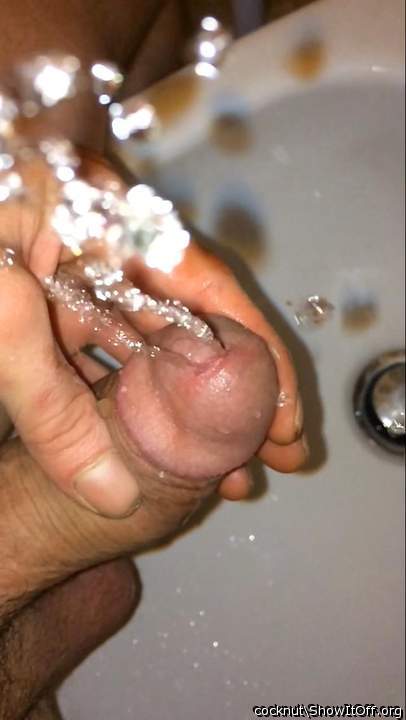 Adult image from Cocknut
