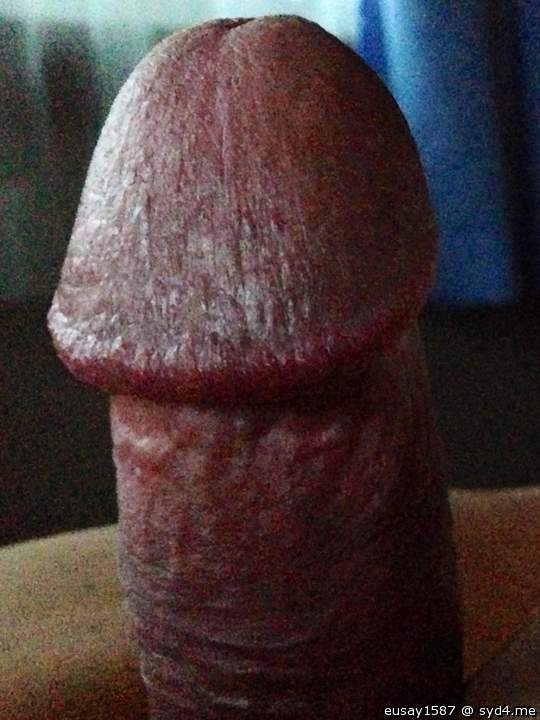 Adult image from eusay1587