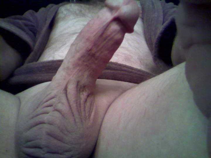 Adult image from fish4free