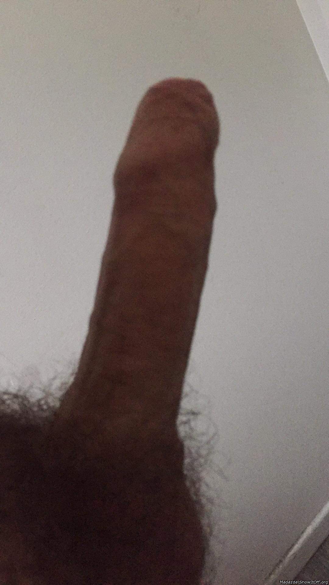 Adult image from Madazda