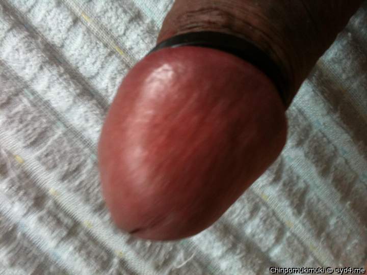 Adult image from ChinpoMukimuki