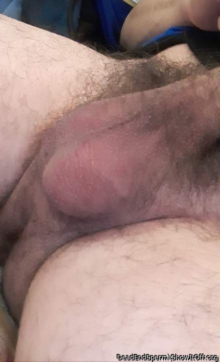 Adult image from DeadEndSperm