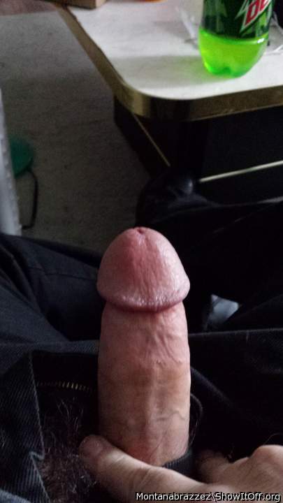 Adult image from Montanabrazzez