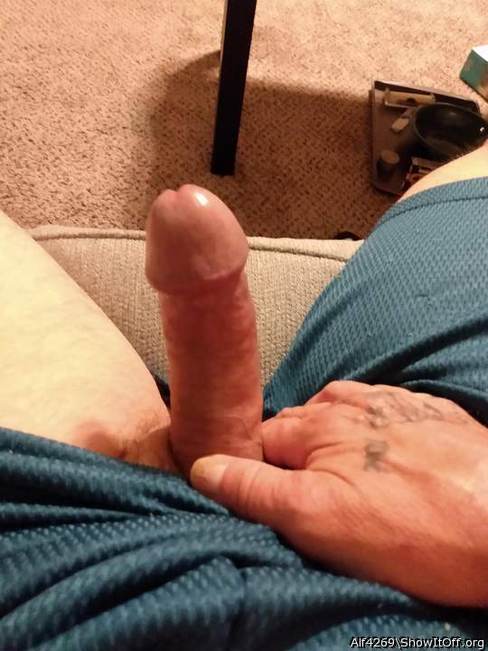 Adult image from Alf4269