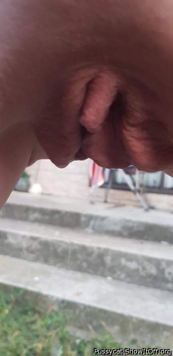 Adult image from Pussycat