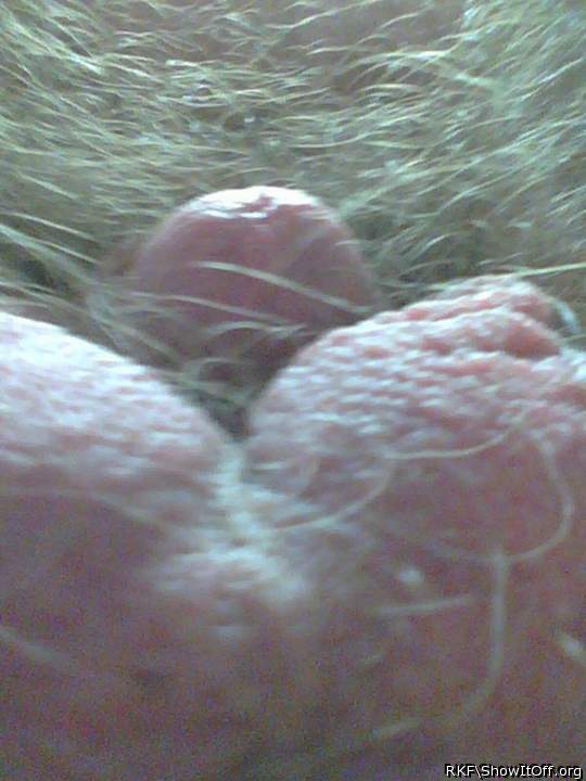 Adult image from rkf