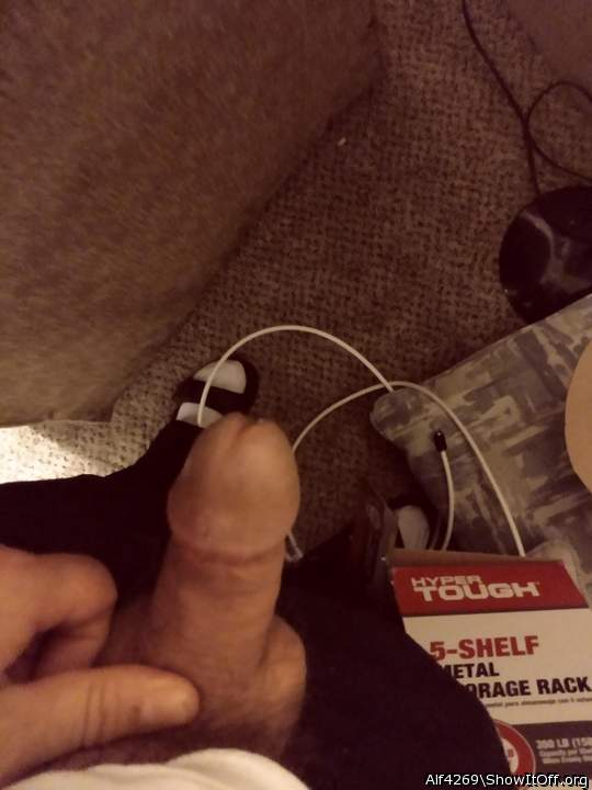 Adult image from Alf4269