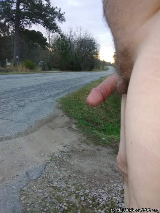 Adult image from tbird3030