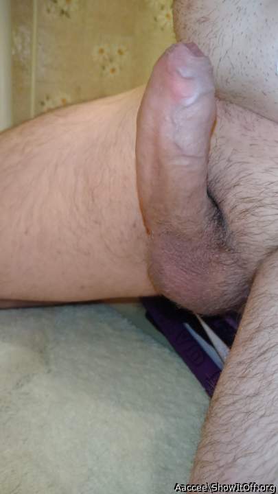 Adult image from Aaccee