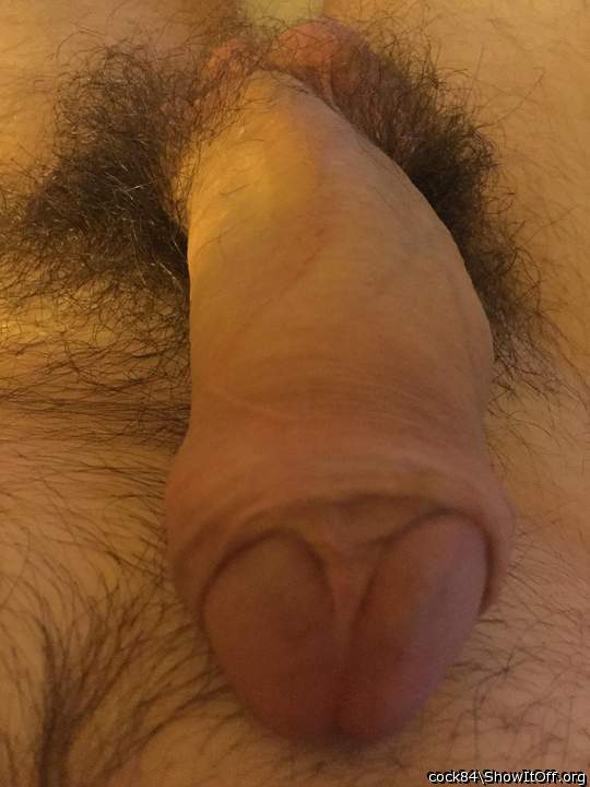 great frenulum shot  