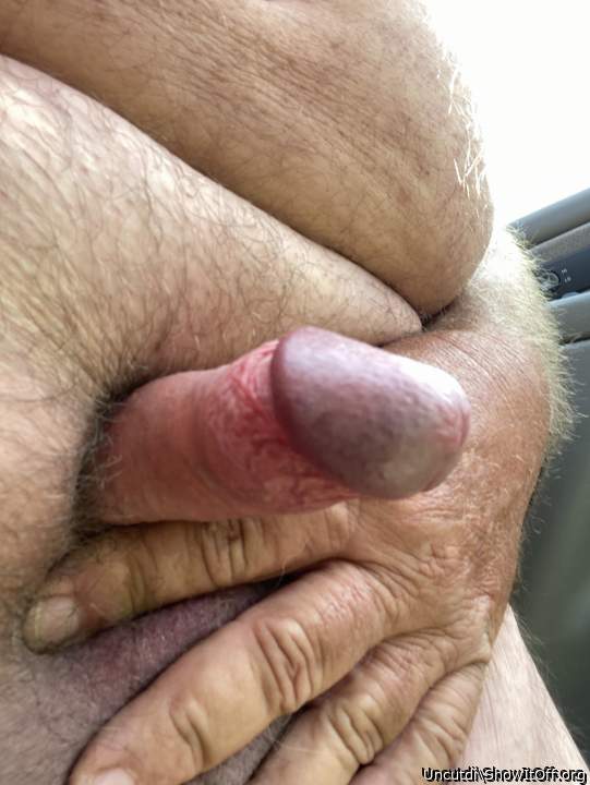 Adult image from Uncutdi