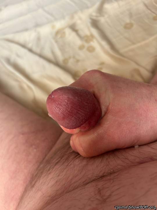 Adult image from cjsims