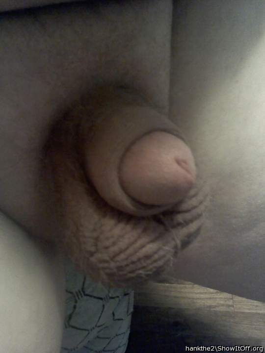 Adult image from hankthe2