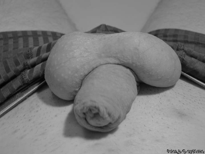 Adult image from peter_b