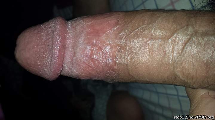 Adult image from stab1