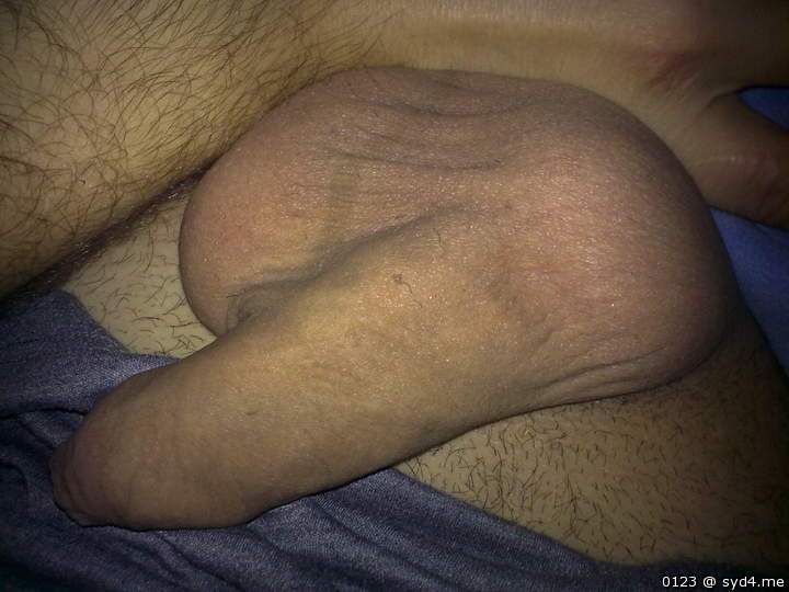 Adult image from 0123