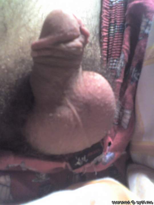 Adult image from Soerencut