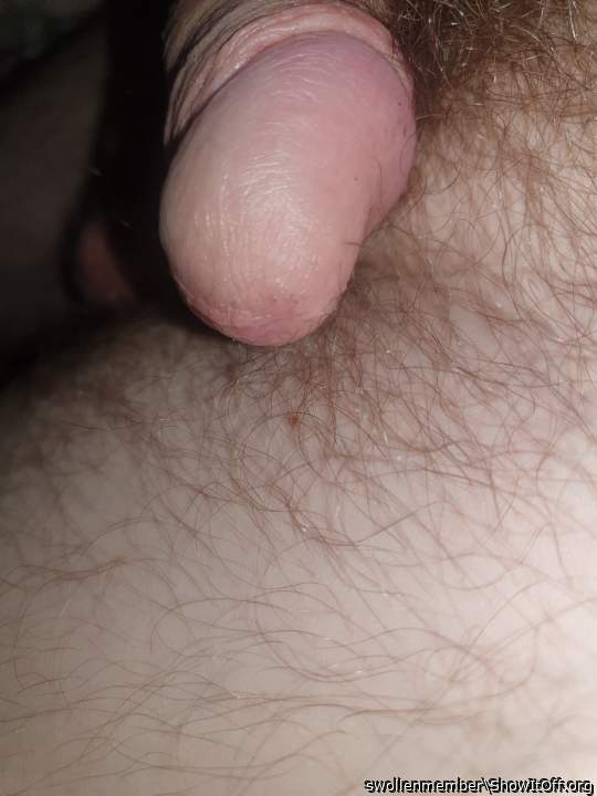 Adult image from swollenmember