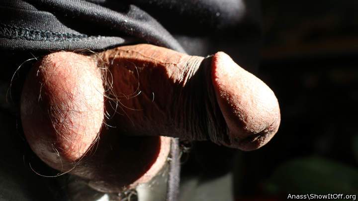 Adult image from Anass