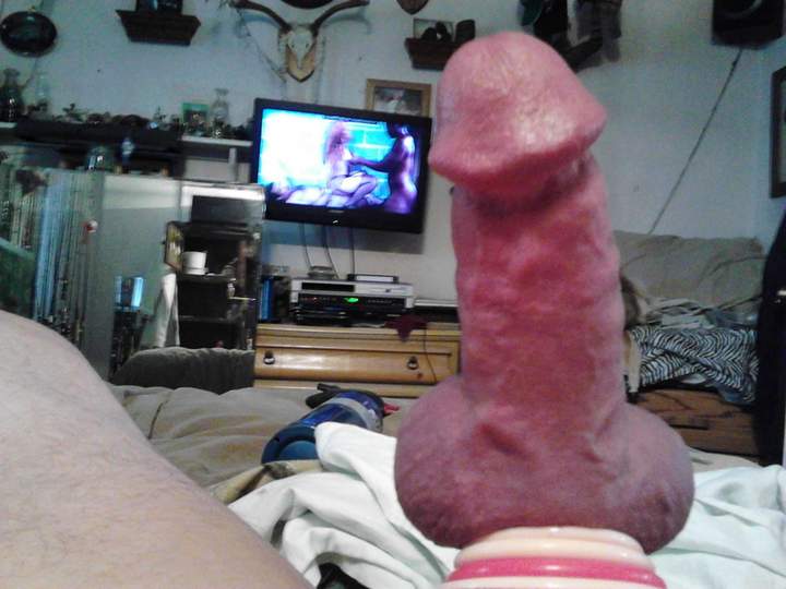Adult image from fish4free