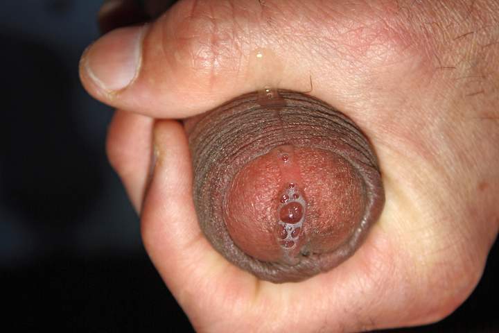 Adult image from Anass