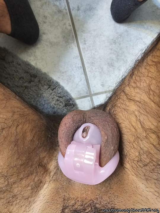 Cage is too small